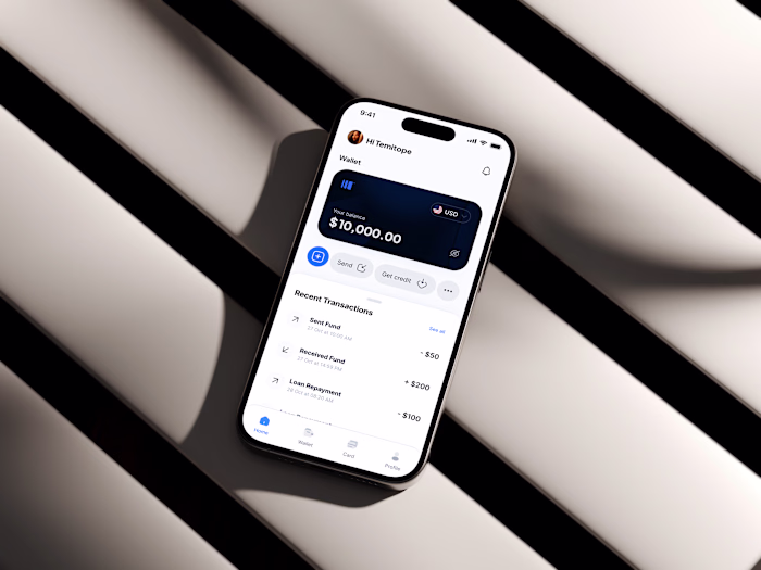 Cross Border Payment Solution for African immigrants. 