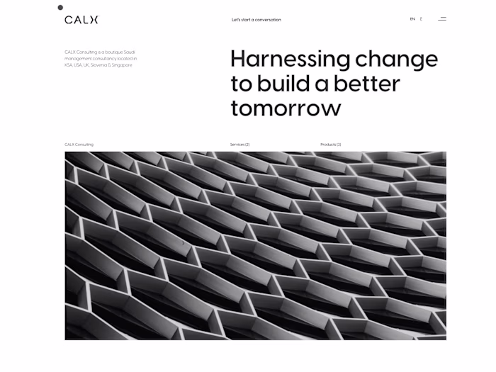 Bespoke Frontend Development & WordPress Integration for CALX