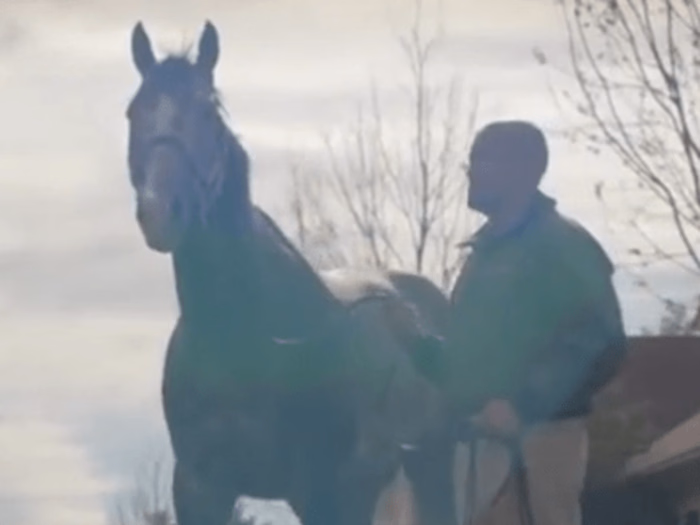 Engaging Social Media Content for Industry Leader