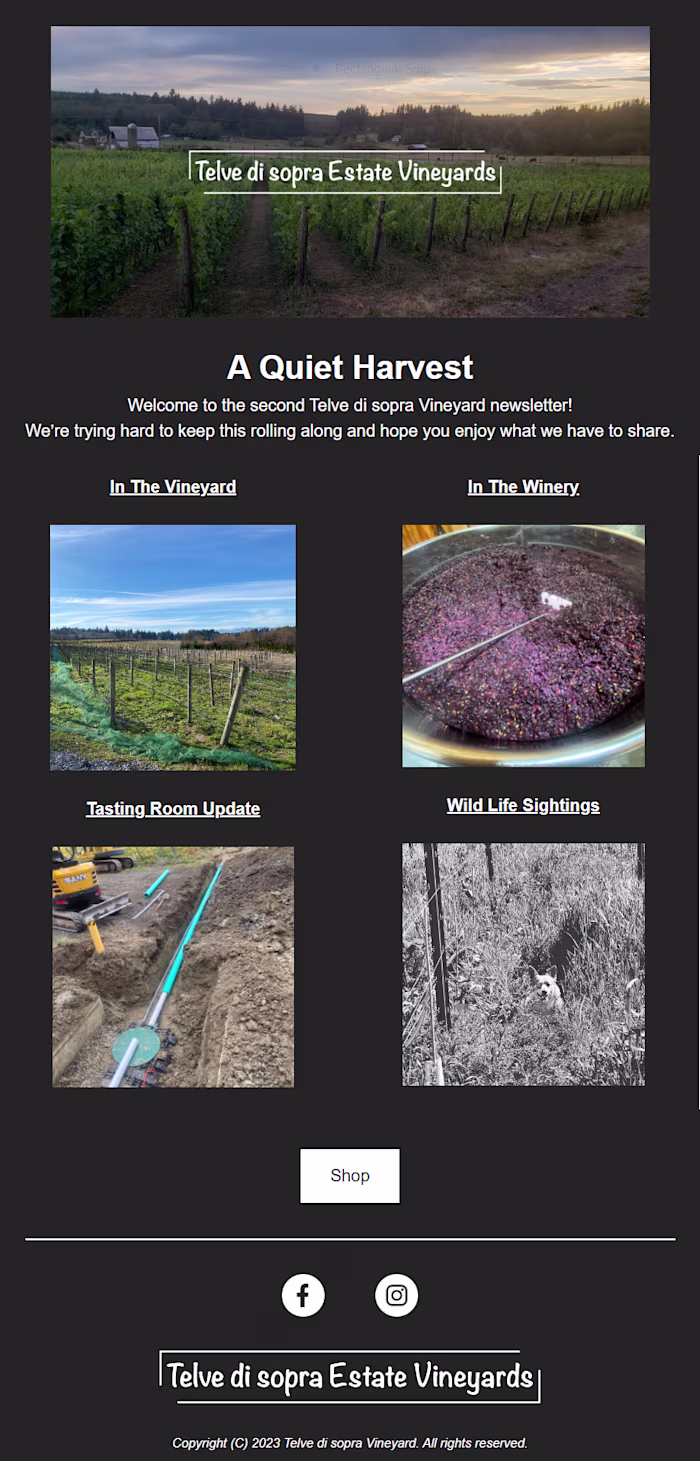 Email Template Design