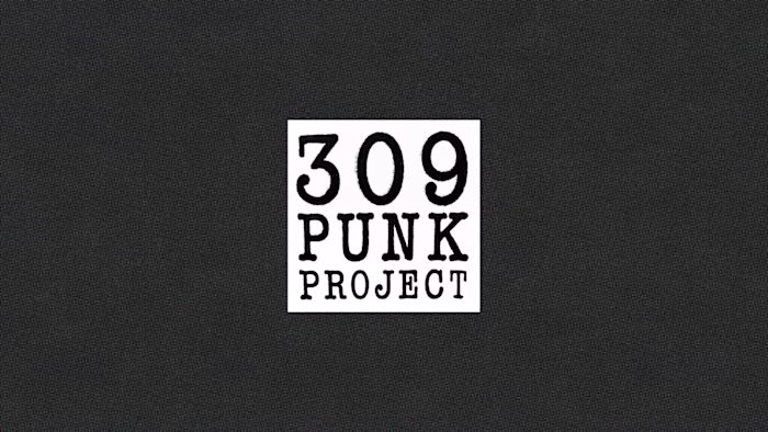 309 Punk Project