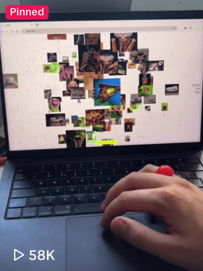 SOOT - TikTok Social Media Strategy