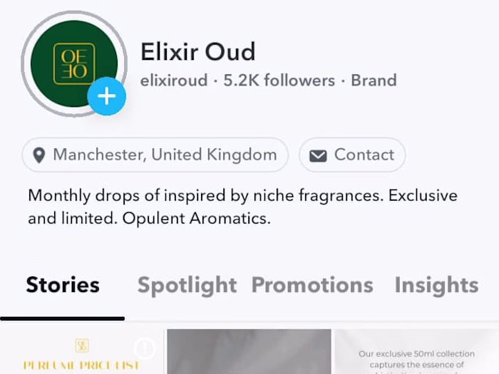 Brand Marketing Luxury Perfume Elixir Oud