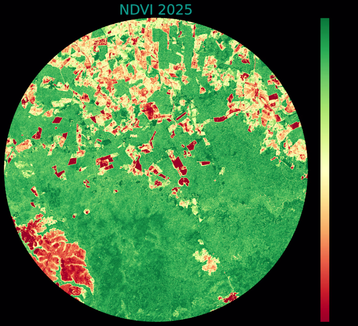 Deforestation Monitoring 