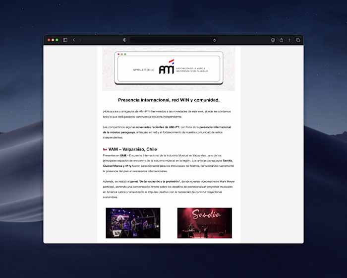 Gestión y desarrollo del Email Newsletter mensual de AMI-PY