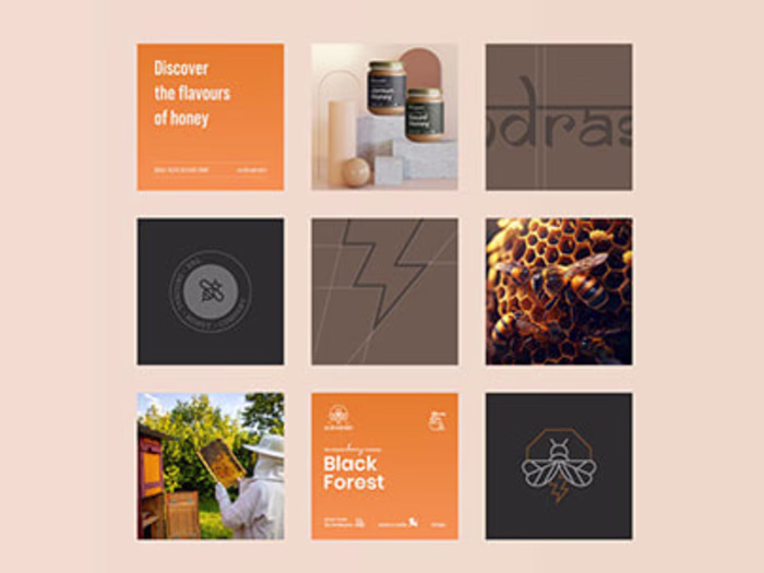 Andrashakti | Logo Design