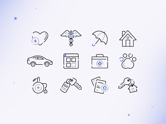 Insurance Icons