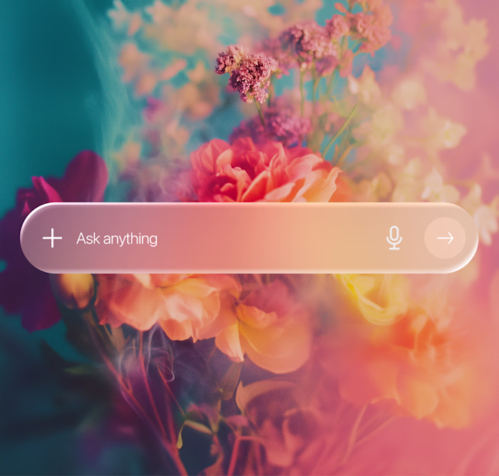 Here is what I've done today.