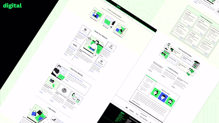 Branding and Web Design Showcase