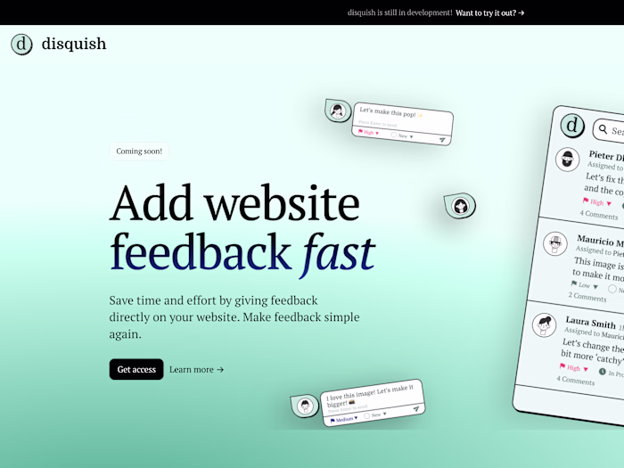 Disquish Landing Page Development
