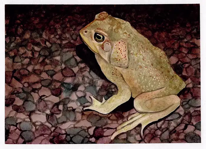 Timely Children's Book Illustrations