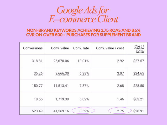 Google Ads for D2C Supplement Brand