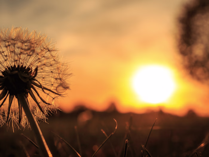 Is Passion a Tool for Personal Development