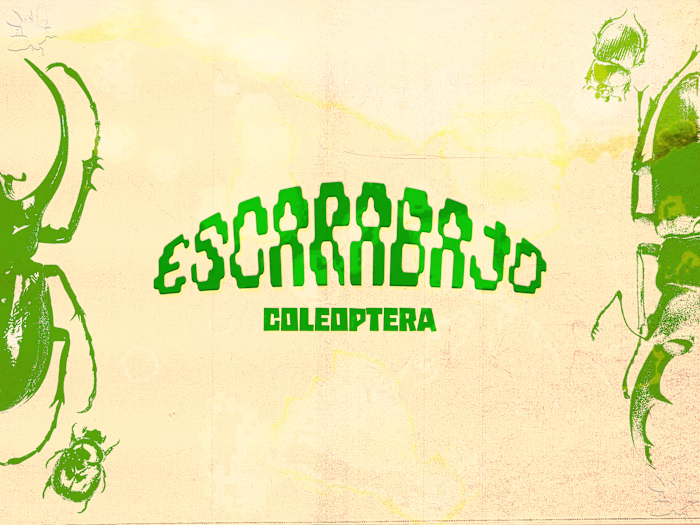 Scarab inspired poster made in Photoshop