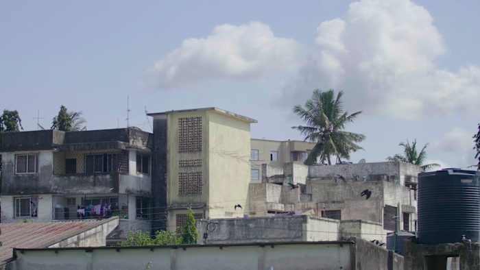 Professional Video Editor Cine Reel