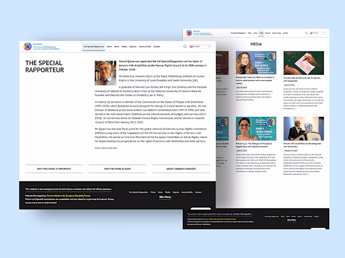 The UN Special Rapporteur web UI design. 
