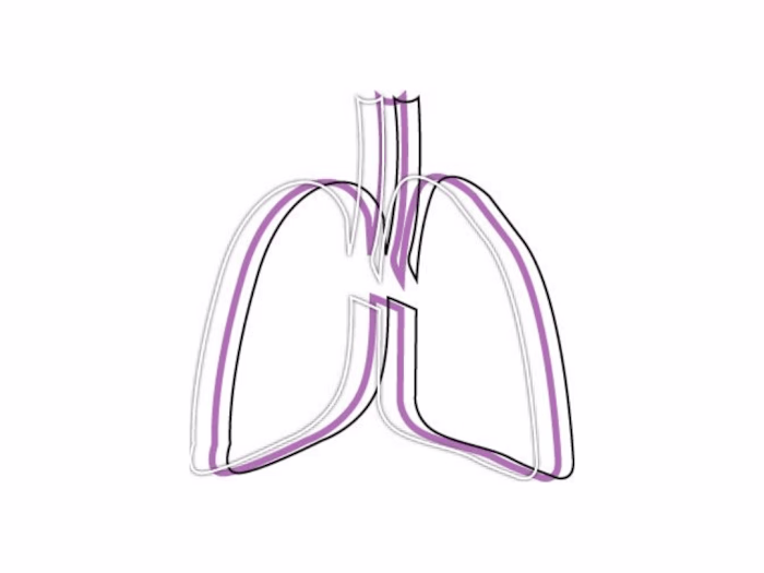 The Lung Wellness Clinic