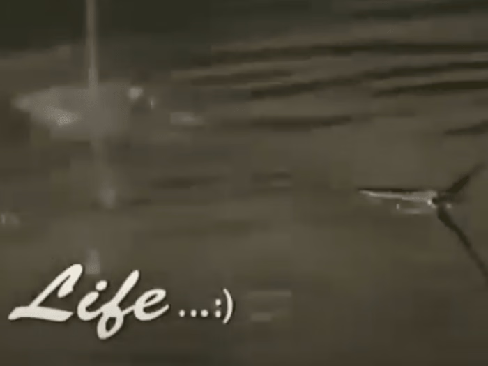 Sound Redesign for Short Films