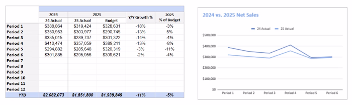 Year-over-Year Sales Performance vs. Budget Analysis