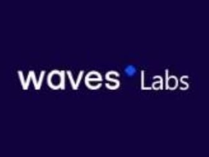 Waves Labs Ambassador Program