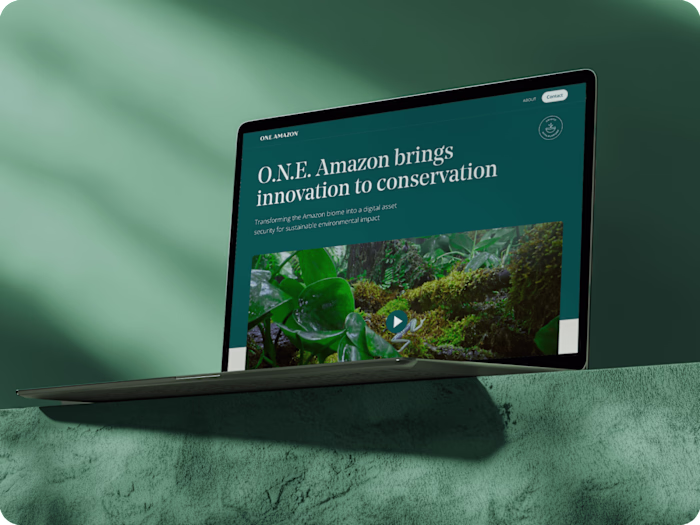 🌎 One Amazon [ Branding ]