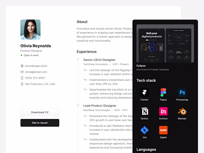 Online CV Framer template