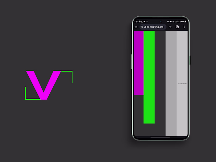 VL Consulting -Full brand design & custom Webflow development