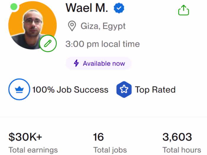 Upwork Top Rated Plus Portfolio