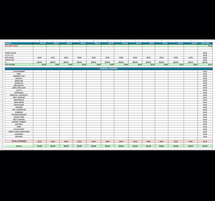 Custom Excel Template for Monthly P&L Tracking