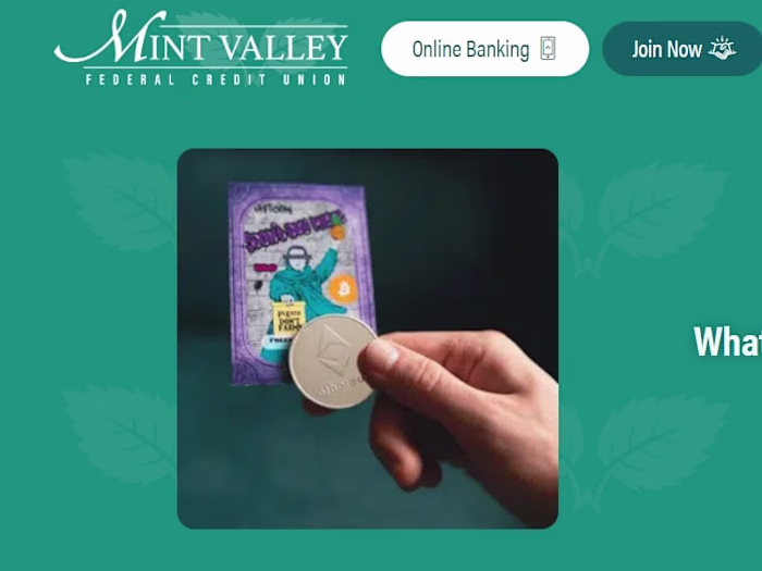 What’s The Buzz on NFTs?