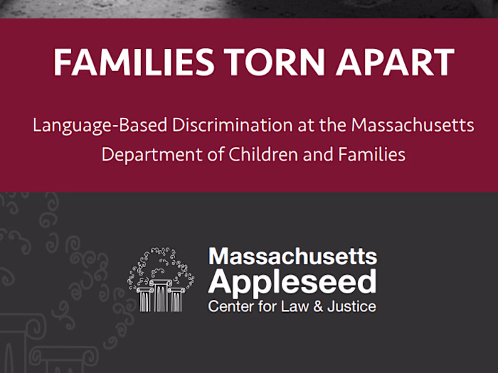 Language Discrimination Research