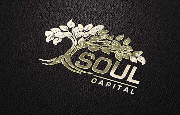 Concept Logo for Soul Capital on Behance