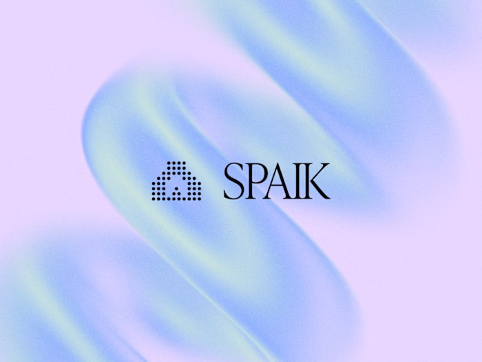 Brand Identity for SPAIK