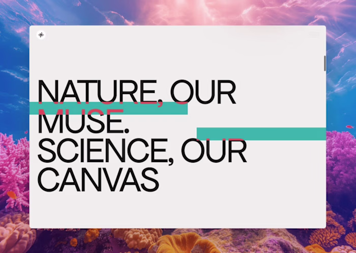 A very cool section from a site I made earlier this year abo...