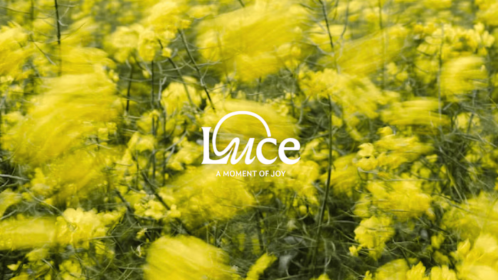 Luce - Vibrant Sustainable Candle Brand
