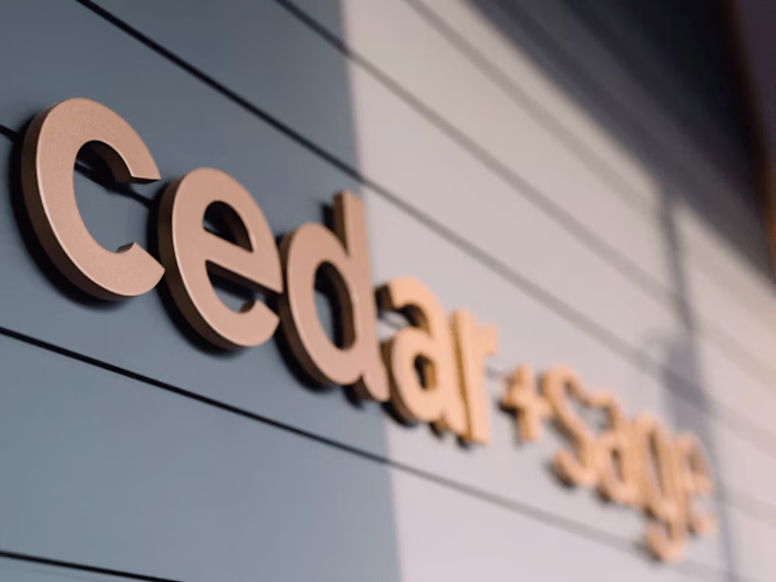 Web Development & Branding