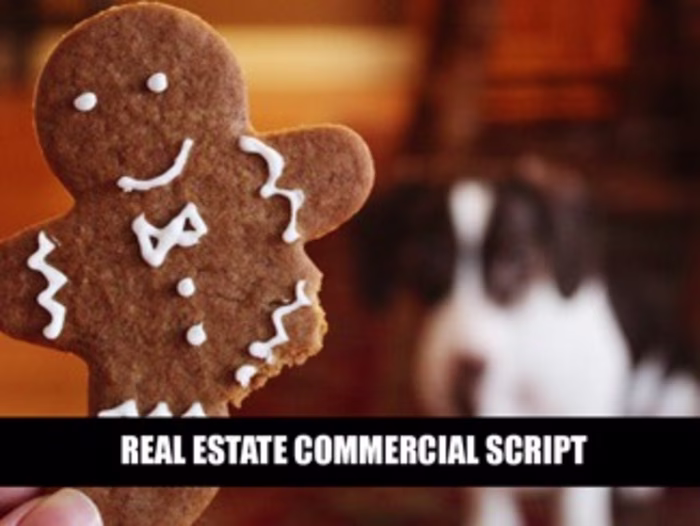 Funny Real Estate Ad #2