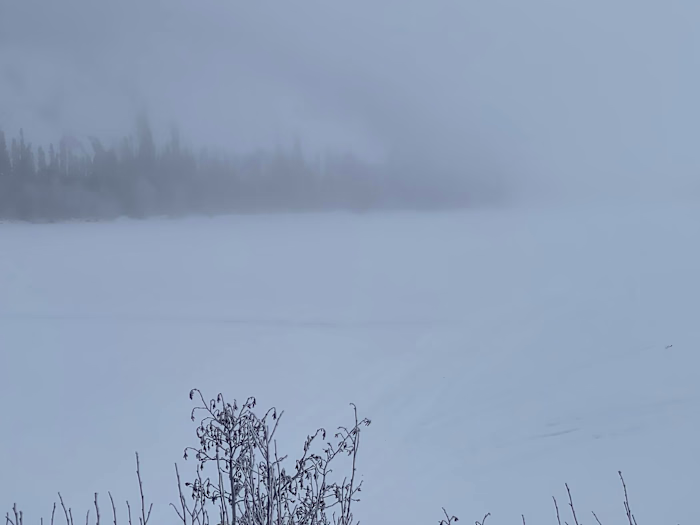 Home - Uranium City History