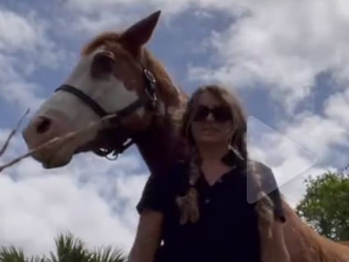 Equestrian Lifestyle and Brand Content