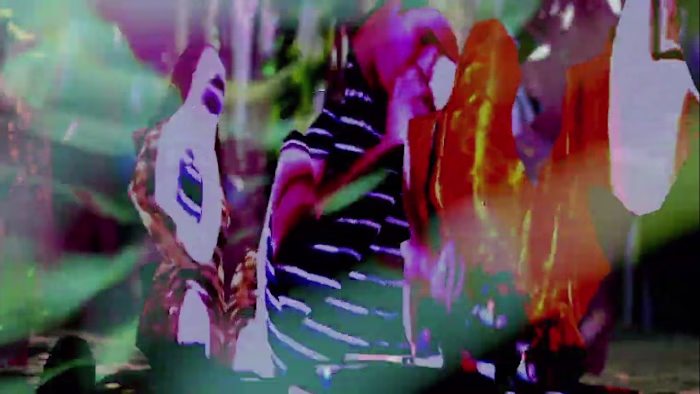 Mezzanine Swimmers "Pensacola Arches" music video