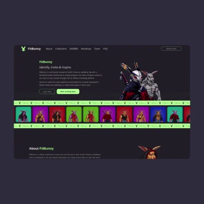 FitBunny NFT