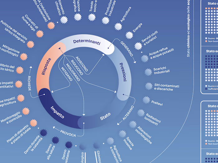 The Endless Dance of the Water Cycle