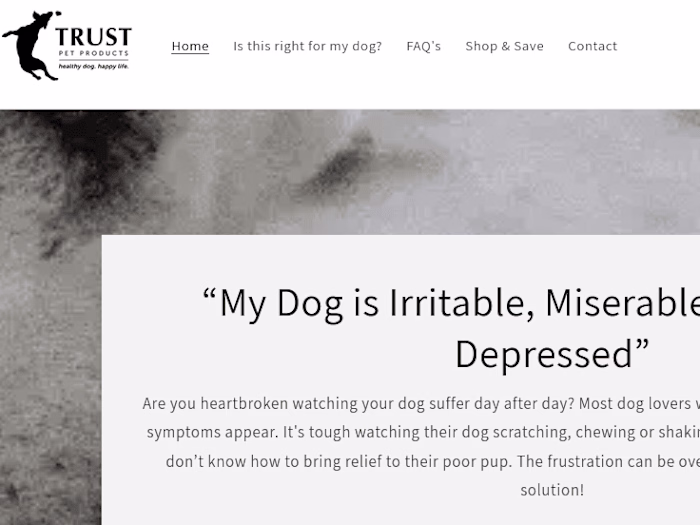 Sales Page for Dog Health Supplement