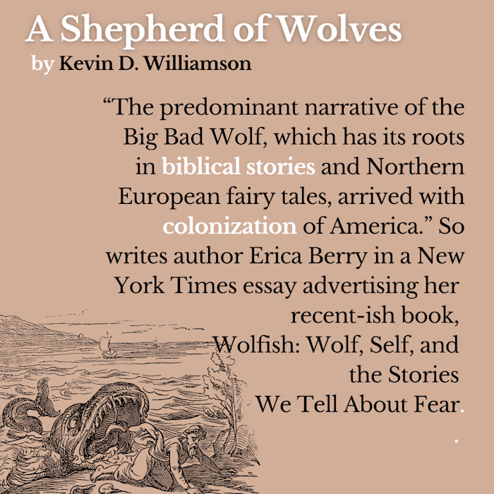 Graphic Design for Social Media