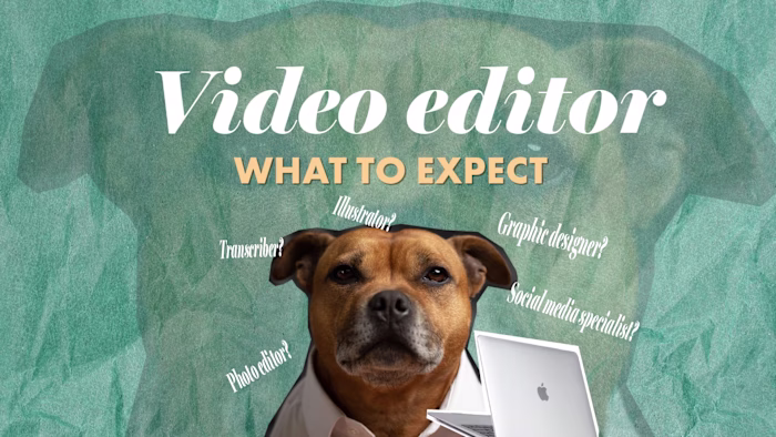 What to Expect from a Video Editor