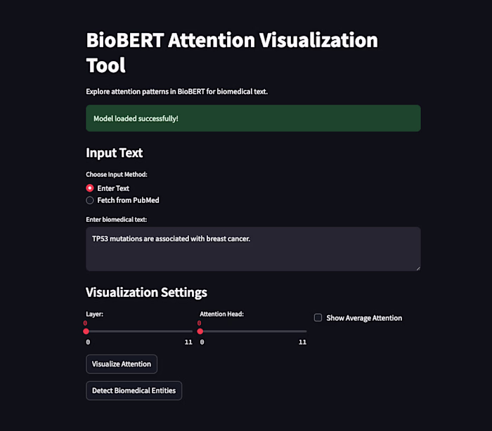 BioBERT Attention Visualization Tool
An interactive