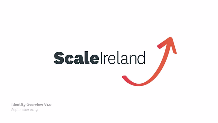 Scale Ireland - Brand Strategy and Brand Identity