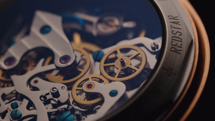 Seagull 1963 - Product Video
