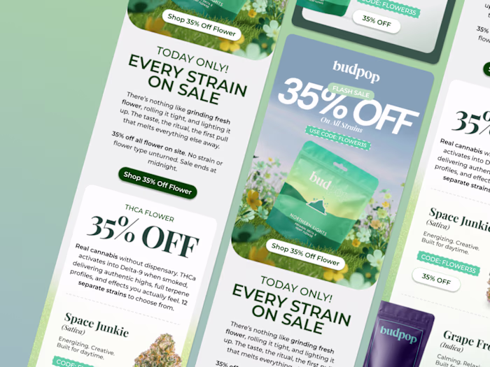 Email Campaign Design for Budpop