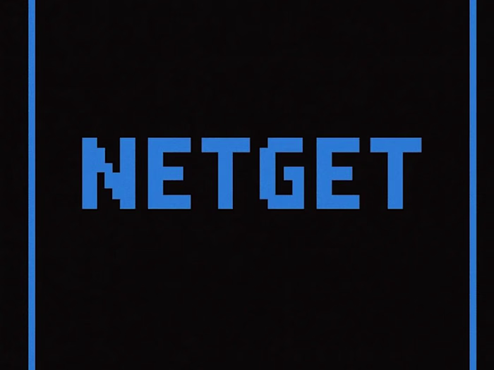 NetGet: Smart Domain & Routing Manager for Web Deployments